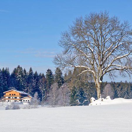 Landhotel Moorhof Neuschönau Buitenkant foto